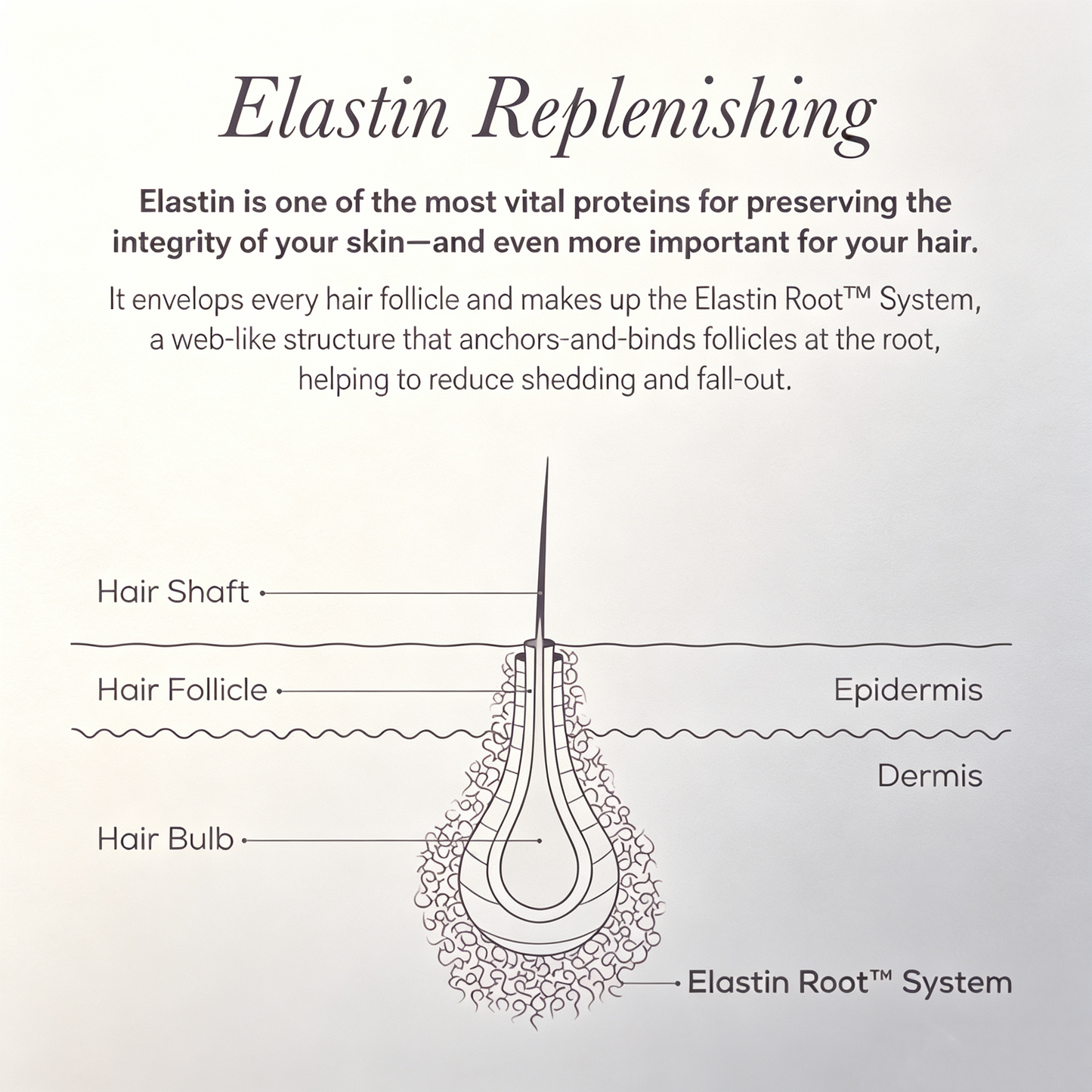 NULASTIN BROW Shape Altering Serum